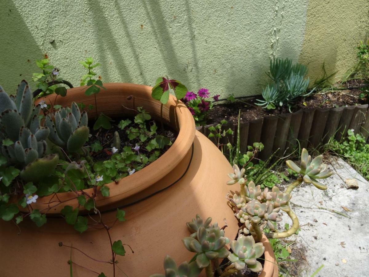 Jardin D'Olisipo - Centre Ville Lisboa 外观 照片